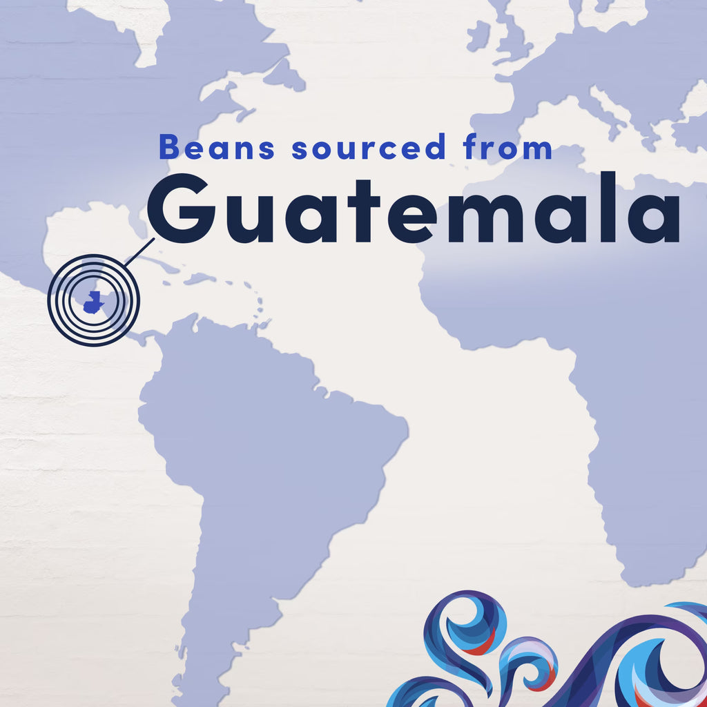 Gevalia Guatemala Single Origin Medium Roast Ground Coffee, 10 oz, 3-Pack
